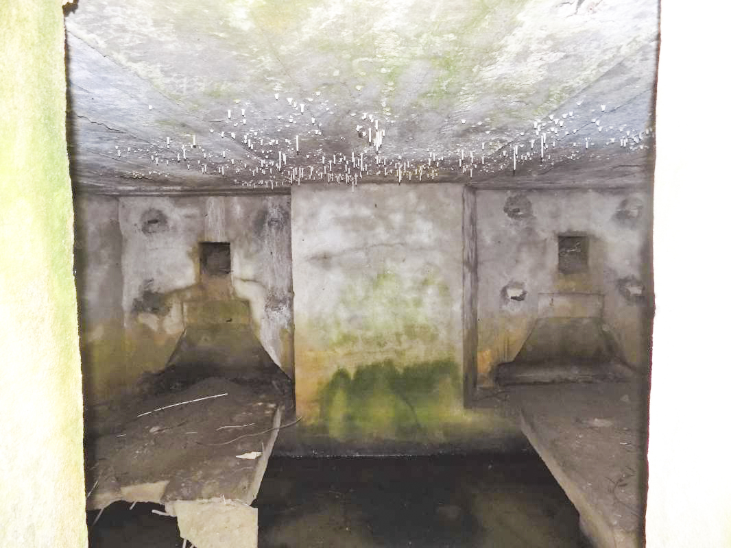 Ligne Maginot - 34A - LE BOCHET NORD - (Blockhaus pour arme infanterie) - Pris de l'entrée, les deux créneaux Hotchkiss - R Tucker