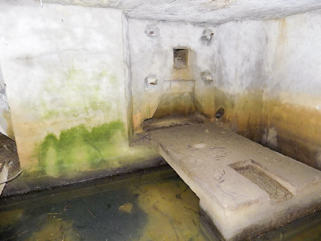 Ligne Maginot - 34A - LE BOCHET NORD - (Blockhaus pour arme infanterie) - Créneau Hotchkiss droite - R Tucker
