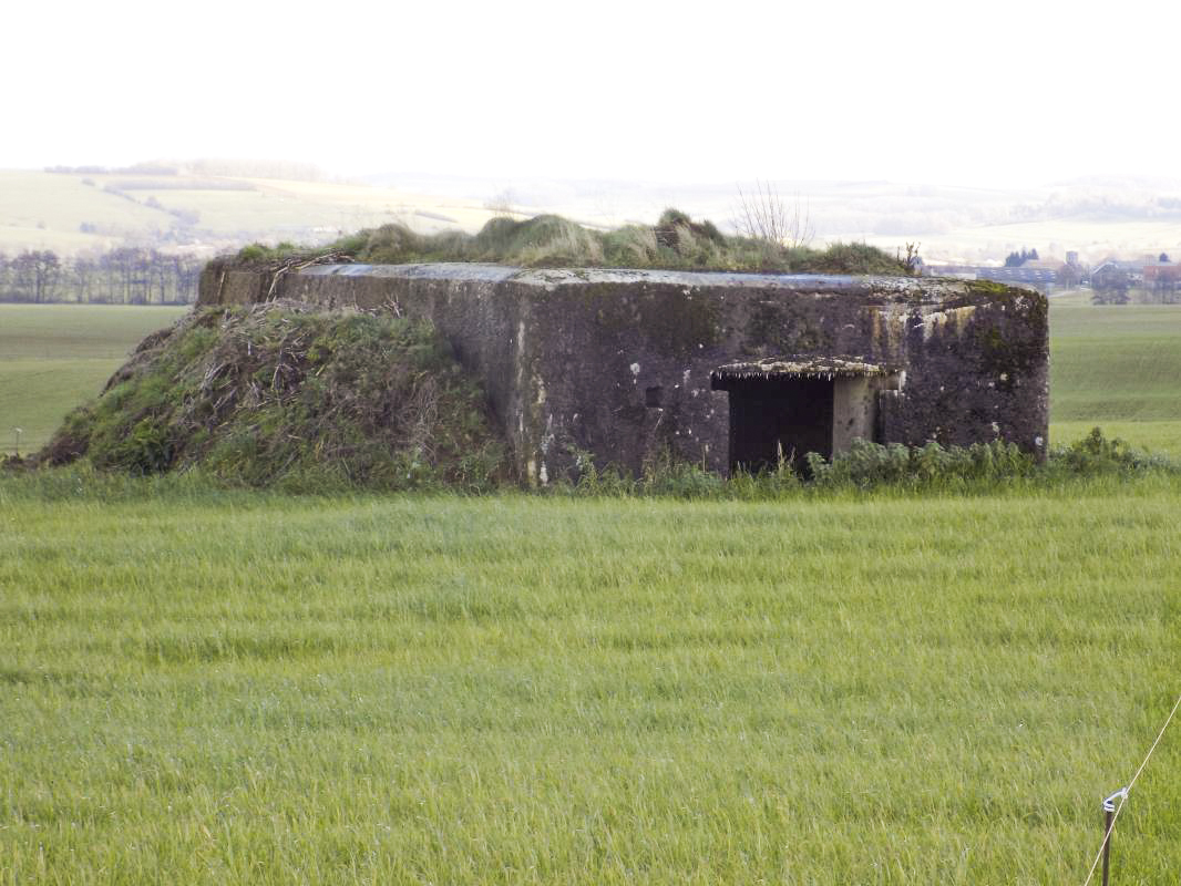 Ligne Maginot - LE BOCHET - (Blockhaus pour canon) - L'arrière - R Tucker