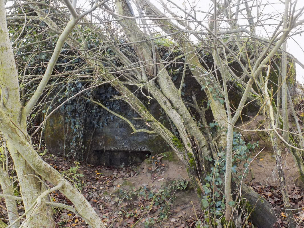 Ligne Maginot - 51C - LA PERCHIE - (Blockhaus pour arme infanterie) - Face frontale gauche - R Tucker