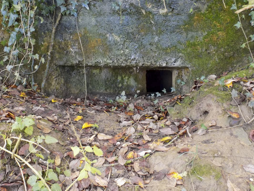 Ligne Maginot - 51C - LA PERCHIE - (Blockhaus pour arme infanterie) - Face frontale gauche - R Tucker
