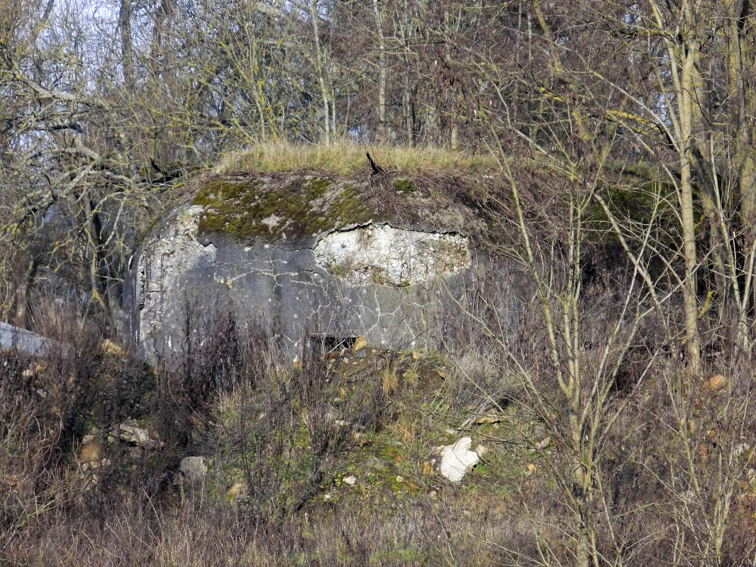 Ligne Maginot - A91 - BREVILLY B - (Blockhaus lourd type STG / STG-FCR - Simple) -  - R Tucker