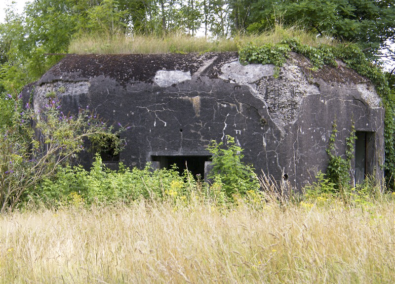 Ligne Maginot - A91 - BREVILLY B - (Blockhaus lourd type STG / STG-FCR - Simple) -  - Jean-Louis AUBLET & Sylvie MAINGUIN