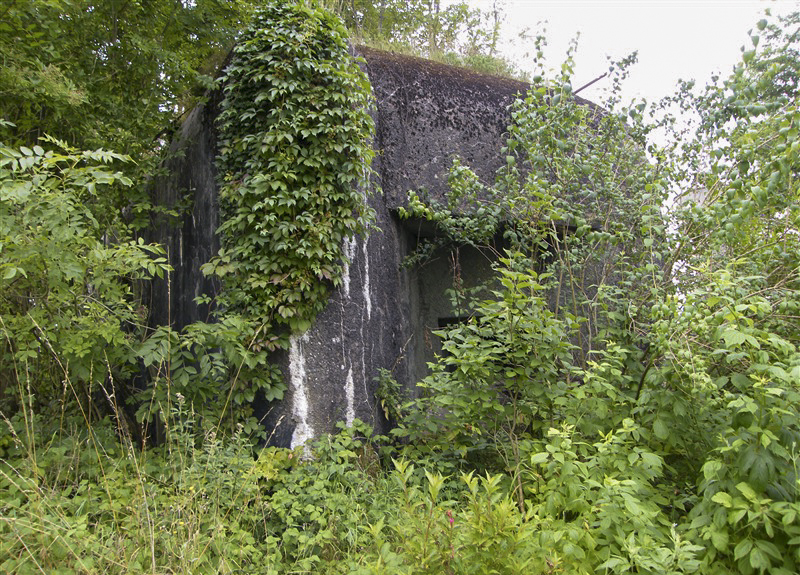 Ligne Maginot - A91 - BREVILLY B - (Blockhaus lourd type STG / STG-FCR - Simple) -  - Jean-Louis AUBLET & Sylvie MAINGUIN