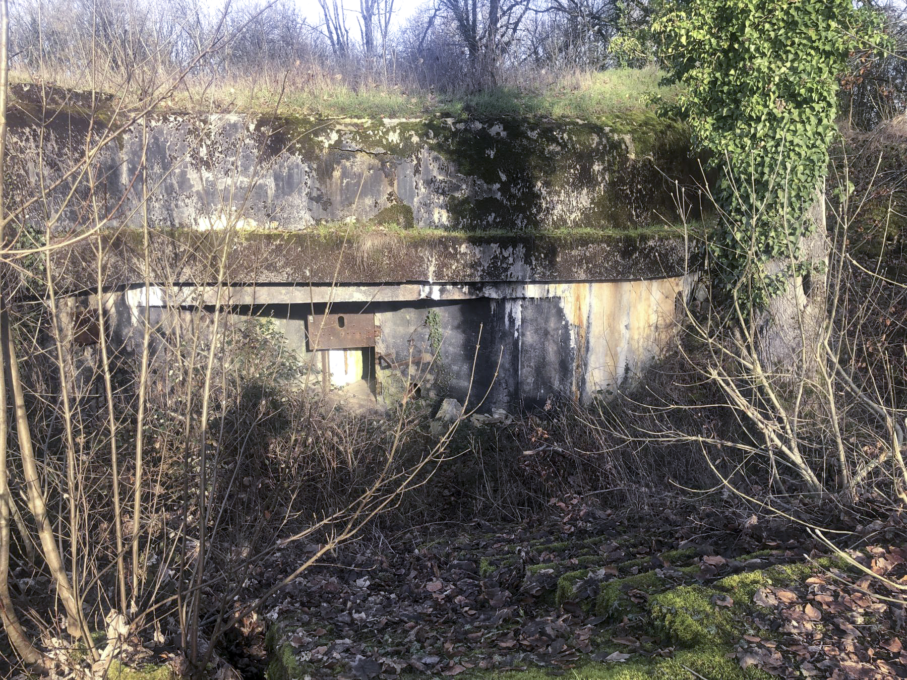 Ligne Maginot - BOIS DE LAUDREFANG NORD - C76 - (Casemate d'infanterie - Simple) -  - Claude Zimmermann