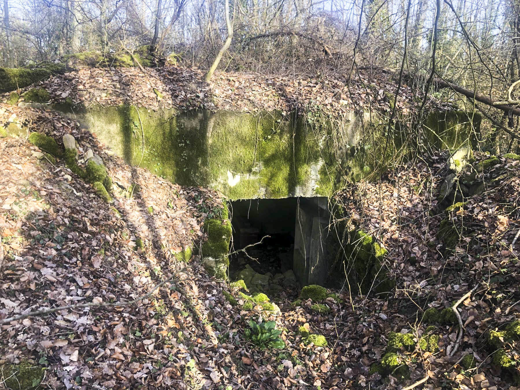 Ligne Maginot - Ab38bis - BOIS de LAUDREFANG 5 (Blockhaus pour canon) - L'entrée pour le canon - Claude Zimmermann