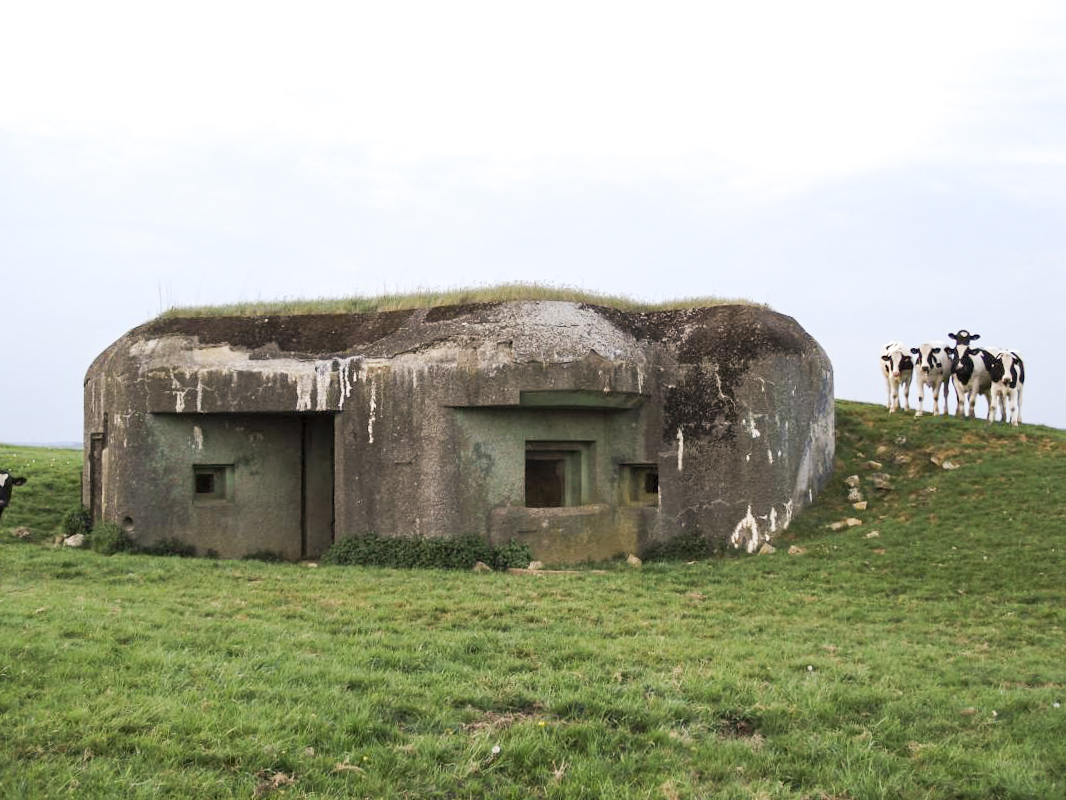 Ligne Maginot - A93 - CHYBERCHAMP - (Casemate d'artillerie) -  - R Tucker