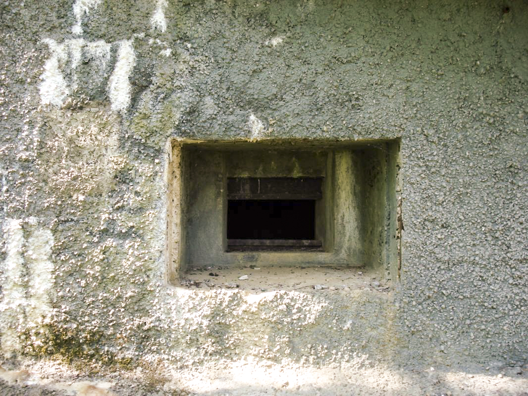 Ligne Maginot - A96 - TRATILLY - LES BAUCHES - (Blockhaus lourd type STG / STG-FCR - Simple) - Crénau mitrailleuse - R Tucker