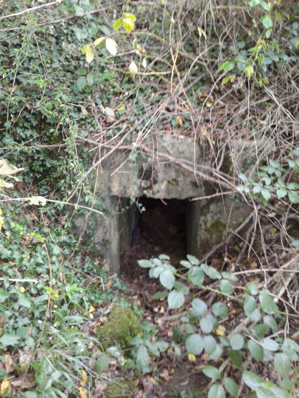Ligne Maginot - CERNAY - (Central téléphonique d'observation) - Entrée Nord - Fabrice THOMASSIN