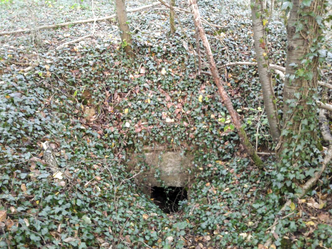 Ligne Maginot - CERNAY - (Central téléphonique d'observation) - Entrée Sud - Fabrice THOMASSIN