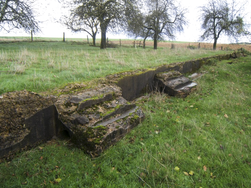 Ligne Maginot - EUILLY - (Casernement) - Vestiges des baraquements  - David HARMAND
