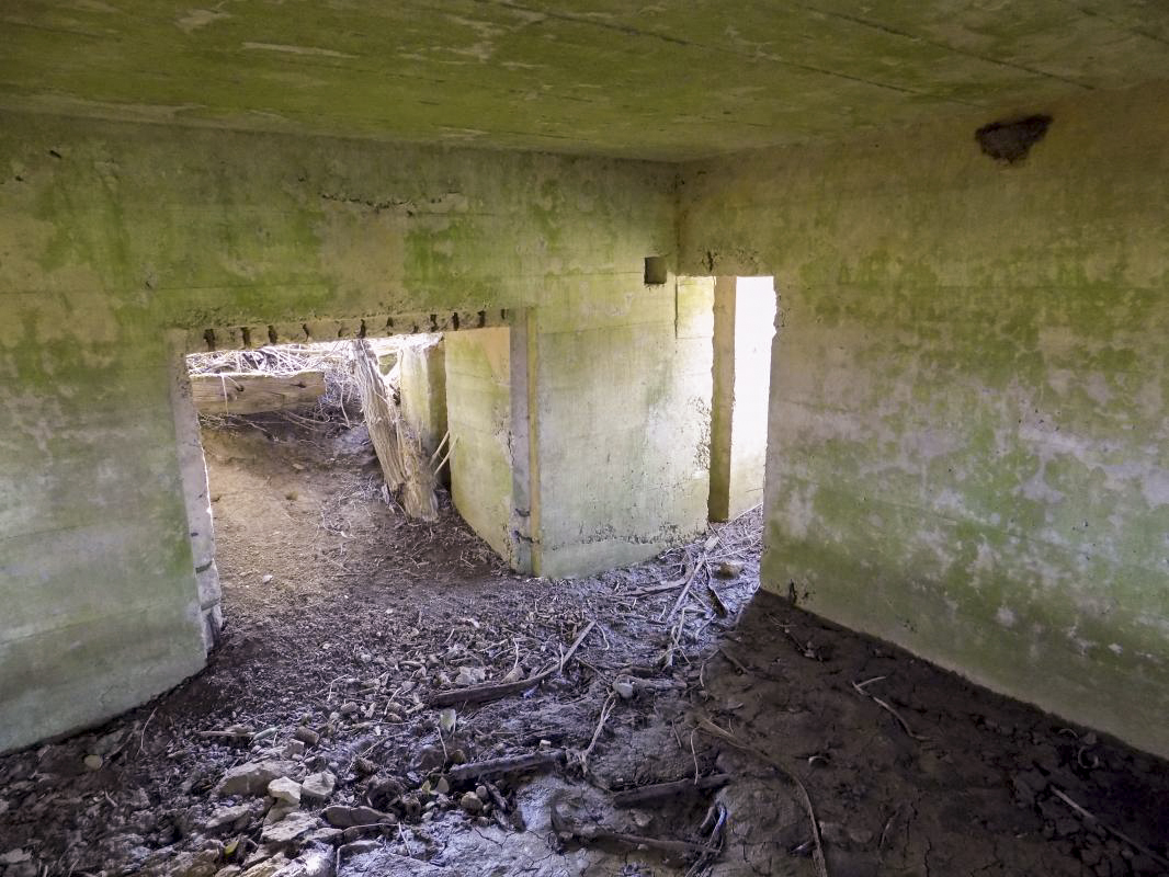 Ligne Maginot - GRAND FOSSE - (Blockhaus pour canon) - Les entrées - R Tucker