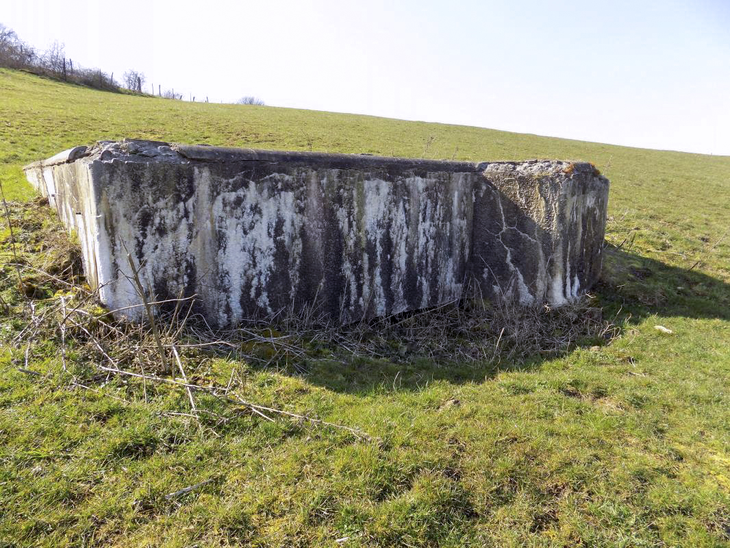 Ligne Maginot - LE CHENELET CENTRE - (Blockhaus pour canon) - Face frontale - R Tucker