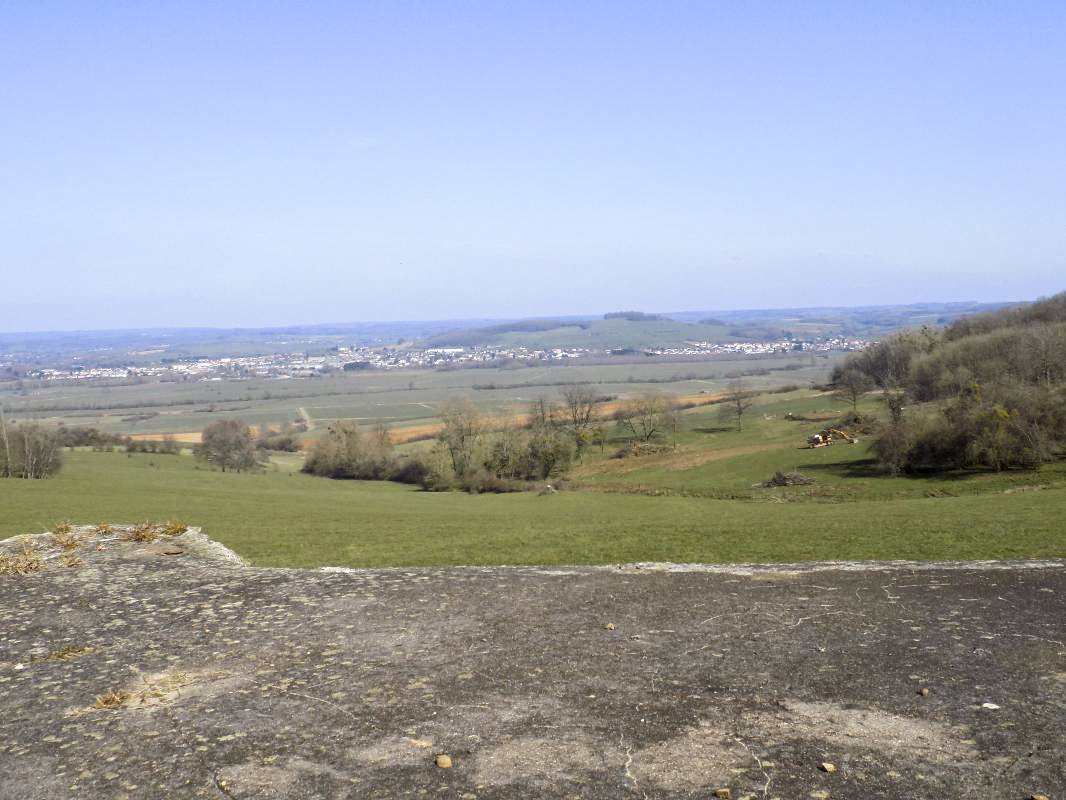 Ligne Maginot - LE CHENELET CENTRE - (Blockhaus pour canon) - Vue frontale vers le nord-est: Carignan/Blagny - R Tucker
