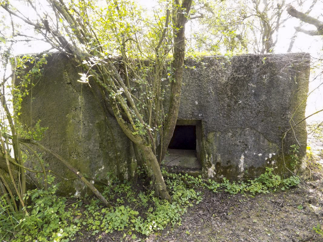 Ligne Maginot - LE MOULIN - (Blockhaus pour arme infanterie) - Face frontale - R Tucker