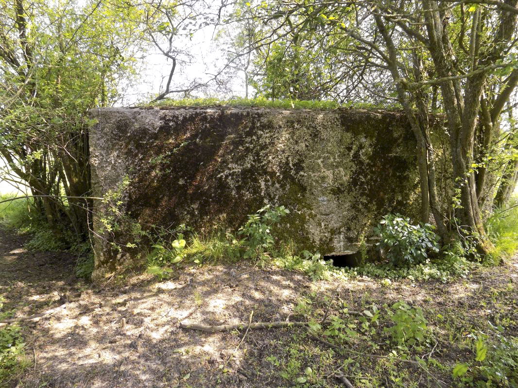 Ligne Maginot - LE MOULIN - (Blockhaus pour arme infanterie) -     Facegauche avec l'entrée hommes - R Tucker