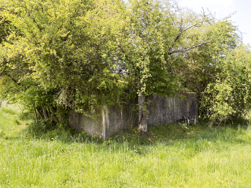 Ligne Maginot - LE MOULIN - (Blockhaus pour arme infanterie) - L'arrière - R Tucker