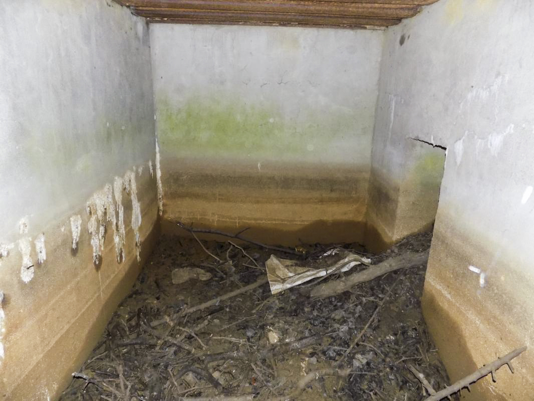 Ligne Maginot - LE MOULIN - (Blockhaus pour arme infanterie) - L'interieur.
Seule entrée (hommes) à droite. - R Tucker