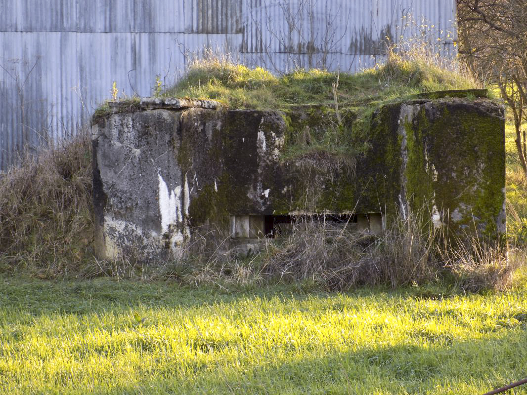 Ligne Maginot - MAIRY CENTRE - (Blockhaus pour canon) - Face frontale - R Tucker