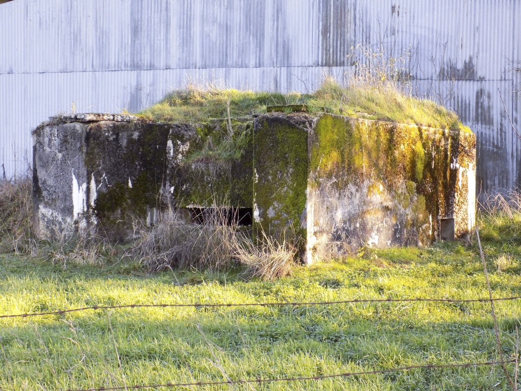 Ligne Maginot - MAIRY CENTRE - (Blockhaus pour canon) - Face frontale et gauche avec l'entrée hommes - R Tucker