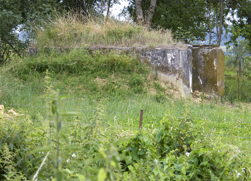 Ligne Maginot - MAIRY CENTRE - (Blockhaus pour canon) -  - Jean-Louis AUBLET & Sylvie MAINGUIN