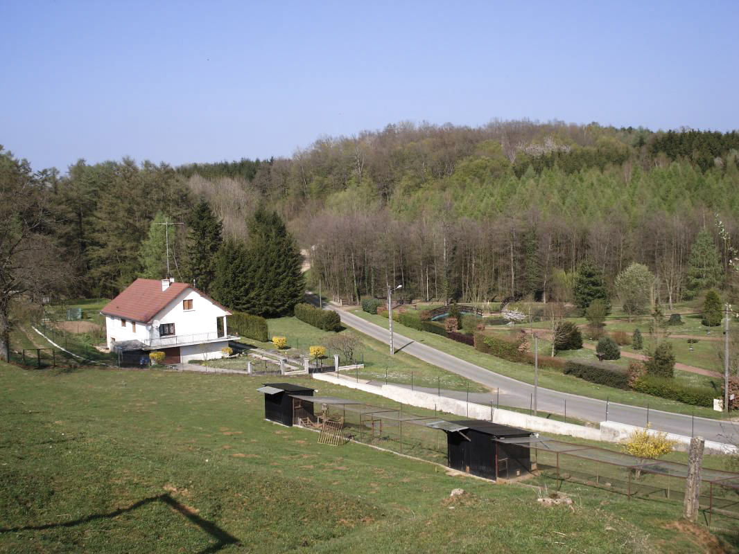 Ligne Maginot - MF19 - V - LA DOUANE - (Poste GRM - Maison Forte) - Vue vers le nord-est - R Tucker