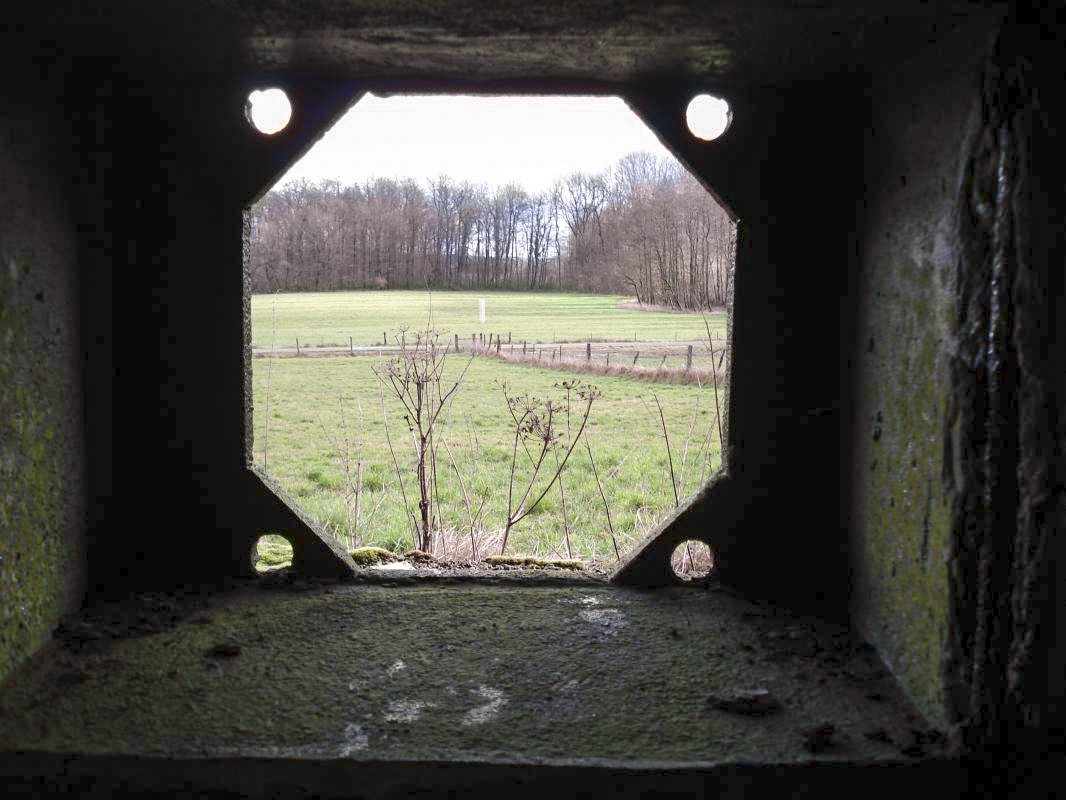 Ligne Maginot - MF21 - X - MOGUES - (Poste GRM - Maison Forte) - Vue vers l'est - R Tucker