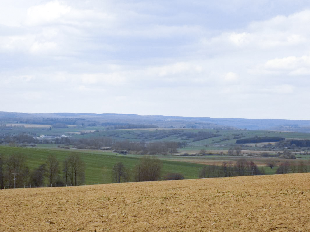 Ligne Maginot - MOULIN D'EUILLY - (Blockhaus pour canon) - Vue vers le Nord-Est - R Tucker