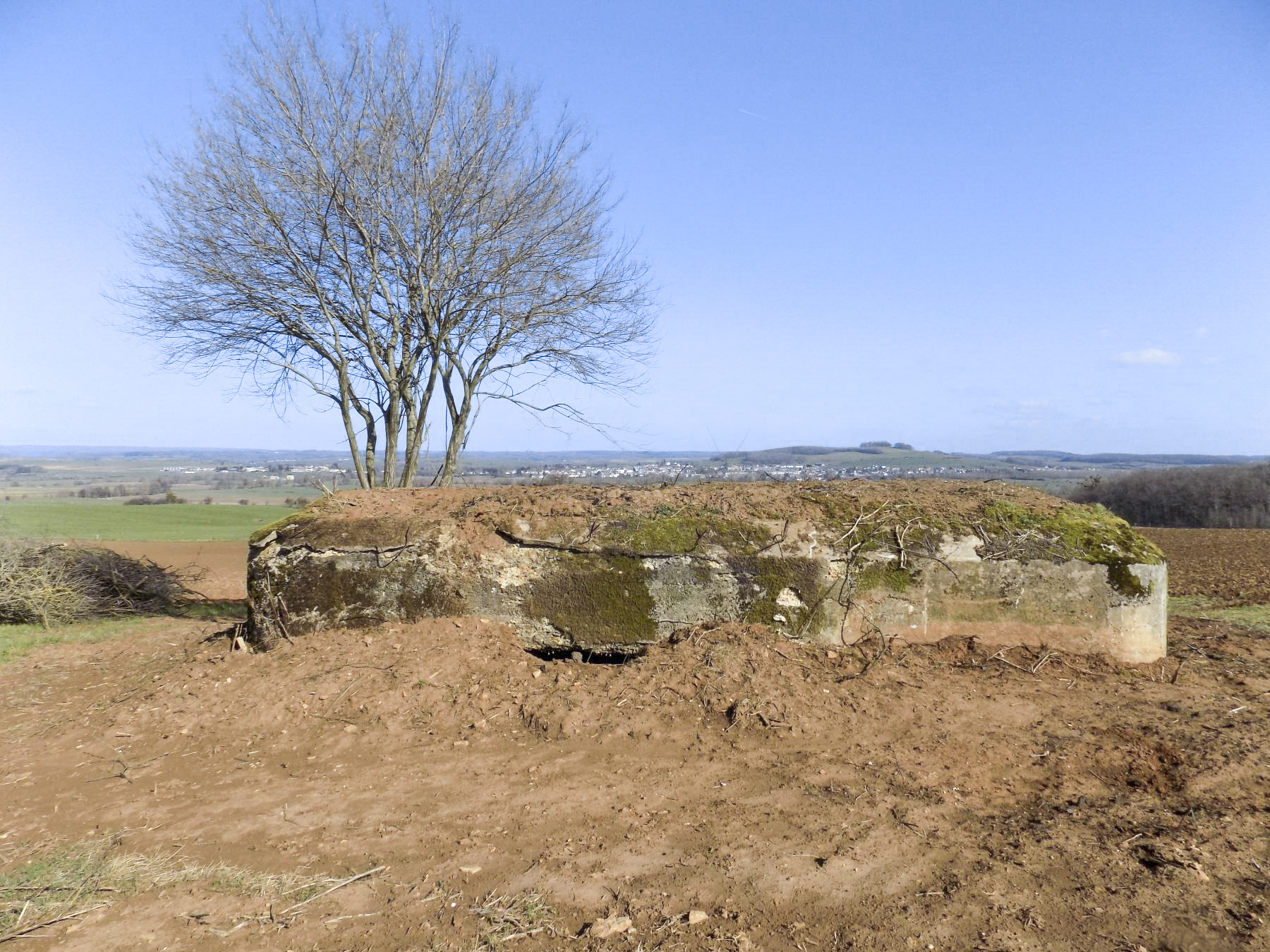 Ligne Maginot - N - LE RETAY - (Blockhaus pour canon) - Face l'arrière: Vue de tir face frontale, canon AC et Hotchkiss vers Carignan et Mont Tilleul - R Tucker