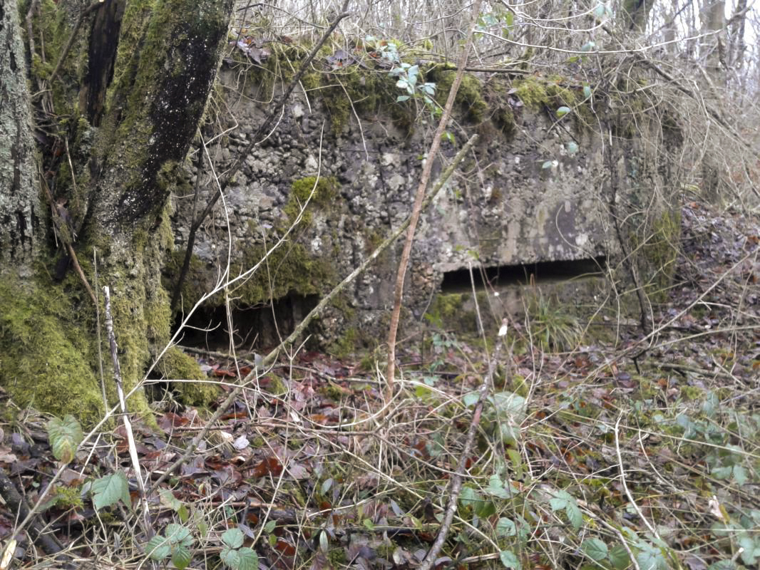 Ligne Maginot - O3 - LA TRUCHE - (Observatoire indéterminé) - Vue des deux créneaux frontaux. - Fabrice THOMASSIN