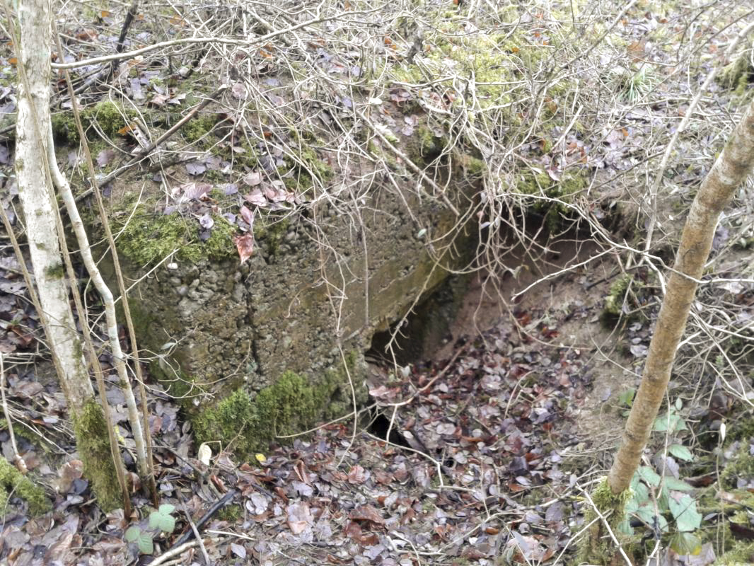 Ligne Maginot - O3 - LA TRUCHE - (Observatoire indéterminé) - Accès par l'arrière. - Fabrice THOMASSIN
