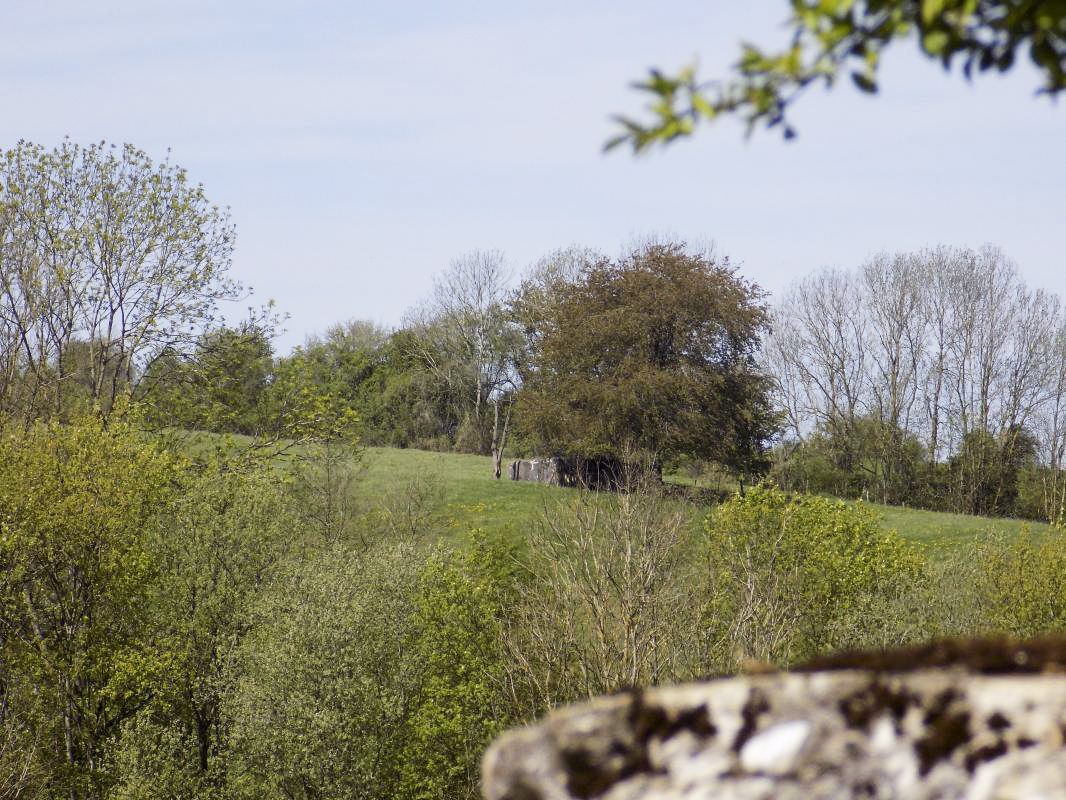 Ligne Maginot - P - FOND DE NOE NORD - (Blockhaus pour canon) - Vue vers le nord-ouest, Vaux lès Mouzon Nord - R Tucker