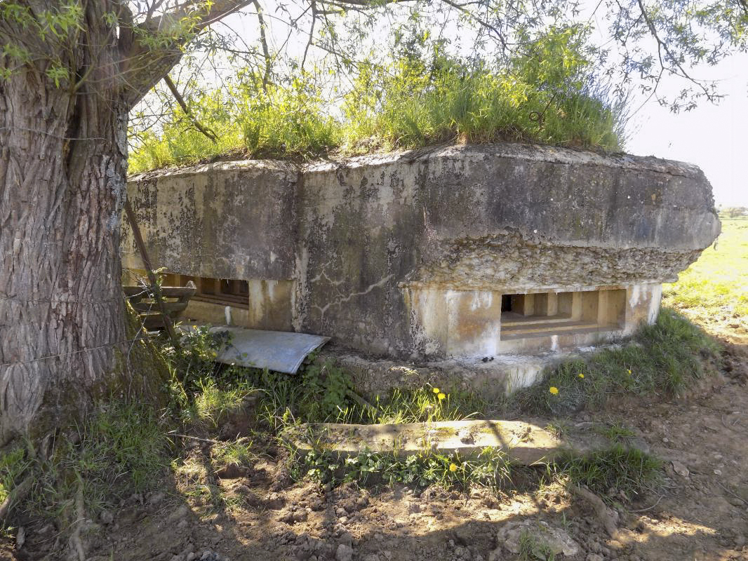Ligne Maginot - P - FOND DE NOE NORD - (Blockhaus pour canon) - Faces centrale et gauche - R Tucker