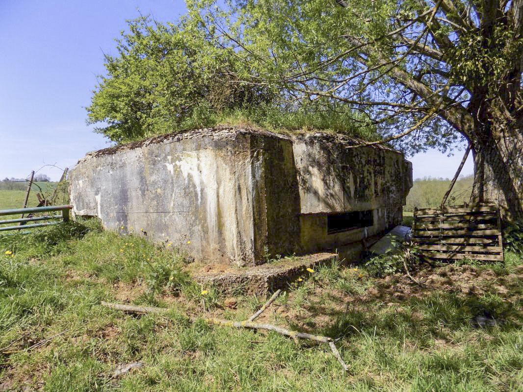 Ligne Maginot - P - FOND DE NOE NORD - (Blockhaus pour canon) - Faces centrale et droite - R Tucker