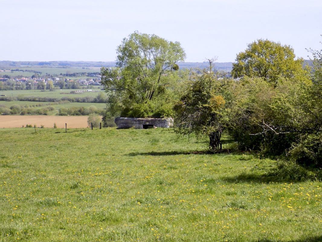 Ligne Maginot - P - FOND DE NOE NORD - (Blockhaus pour canon) - L'arrière, entrée AC, chemin le long des arbres à droite - R Tucker