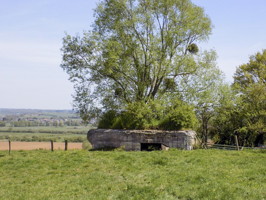 Ligne Maginot - P - FOND DE NOE NORD - (Blockhaus pour canon) - L'arrière, entrée AC - R Tucker
