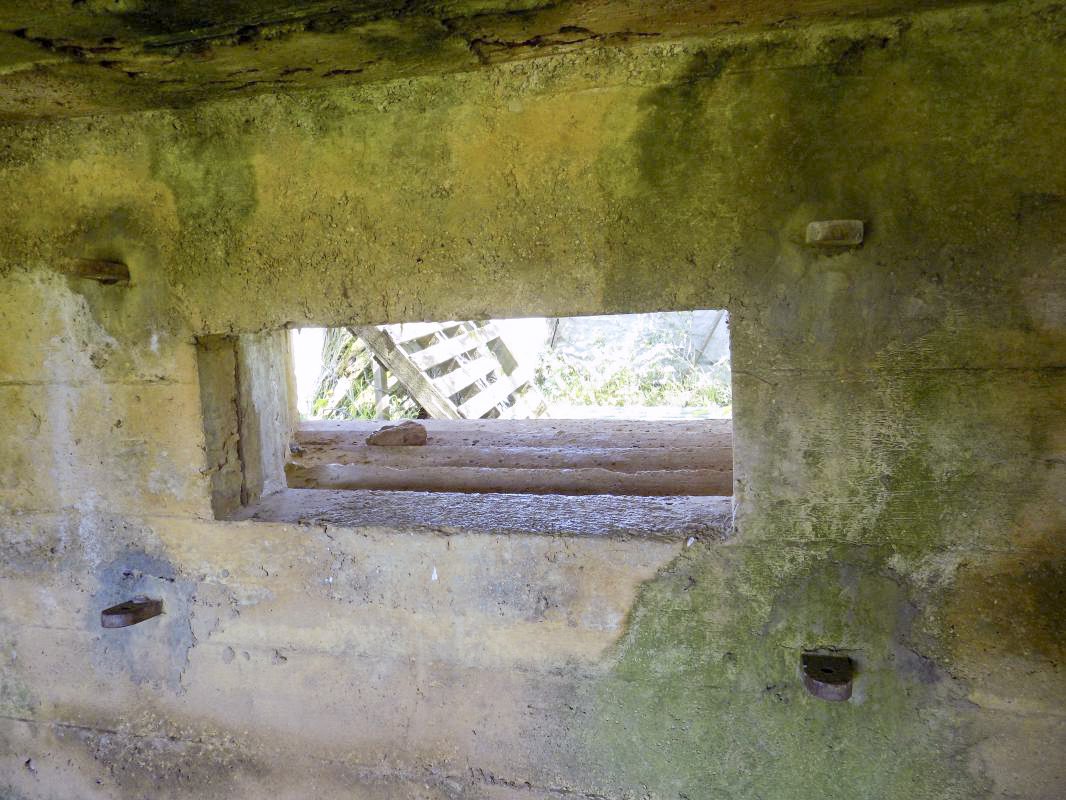 Ligne Maginot - P - FOND DE NOE NORD - (Blockhaus pour canon) - Créneaux AC centrale - R Tucker