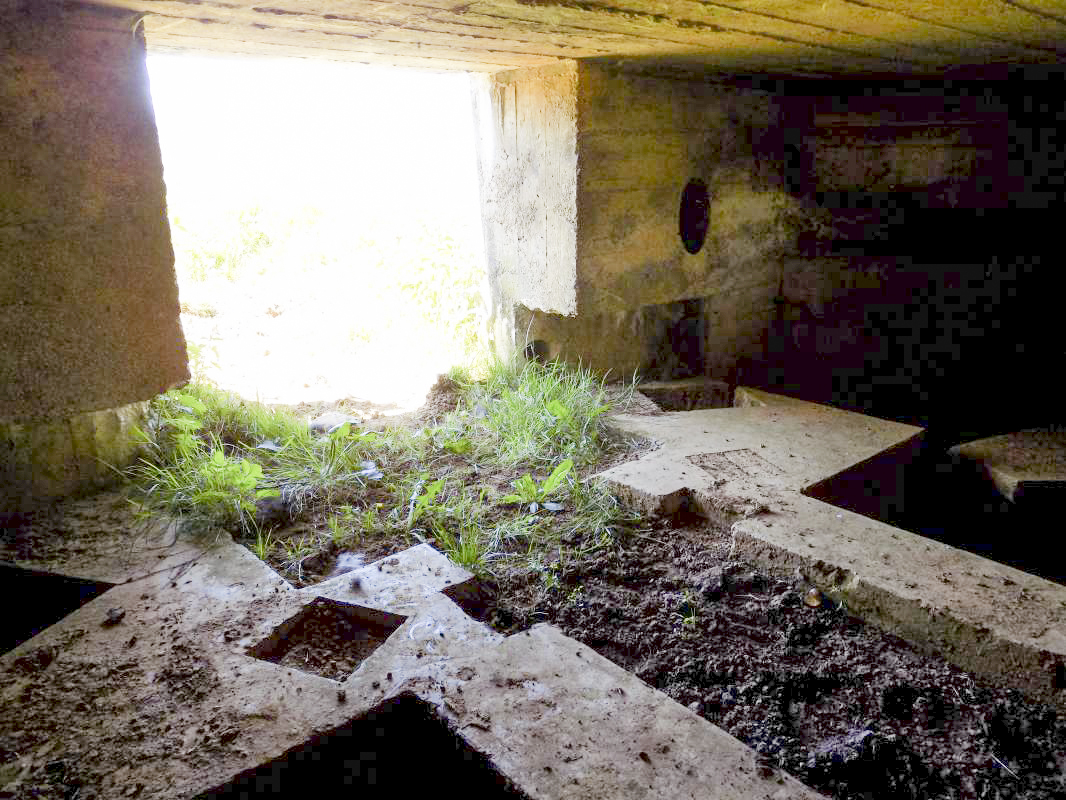 Ligne Maginot - P - FOND DE NOE NORD - (Blockhaus pour canon) - L'entrée - R Tucker