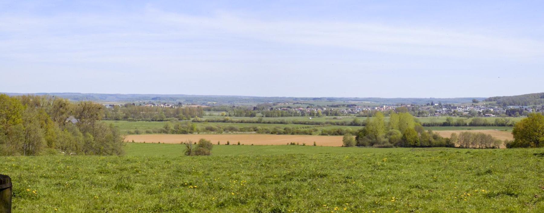Ligne Maginot - P - FOND DE NOE NORD - (Blockhaus pour canon) - Vue vers le nord - R Tucker