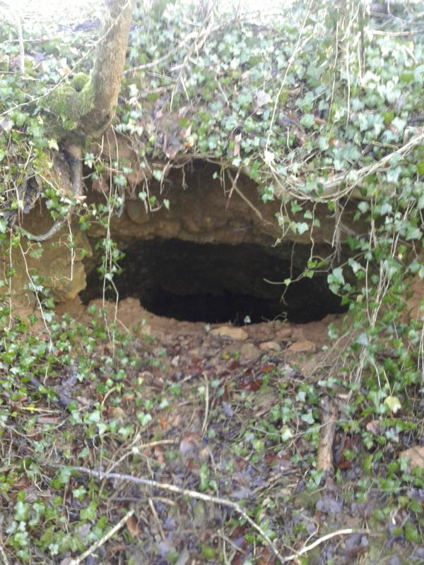 Ligne Maginot - PLUME SOURIS A1 - (Abri) - Descente en sape de gauche. - Fabrice THOMASSIN