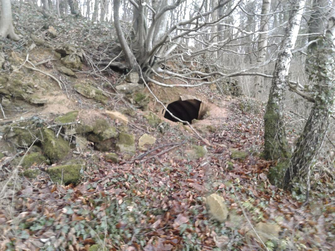 Ligne Maginot - PLUME SOURIS A3 - (Abri) -  - Fabrice THOMASSIN