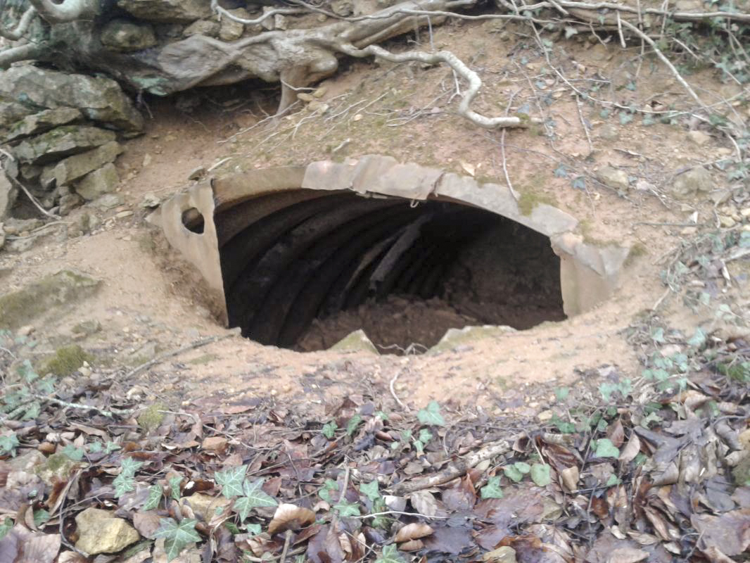 Ligne Maginot - PLUME SOURIS A3 - (Abri) -  - Fabrice THOMASSIN