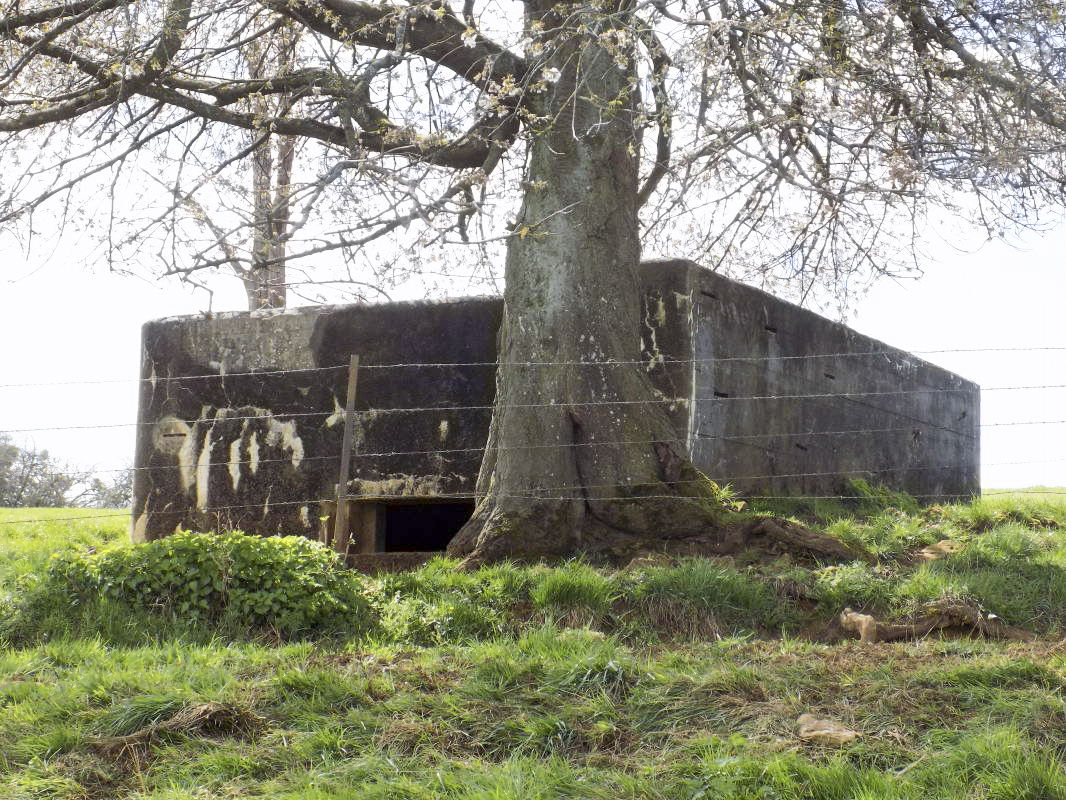 Ligne Maginot - VAUX LèS MOUZON NORD - (Blockhaus pour canon) - Faces frontale et gauche - R Tucker