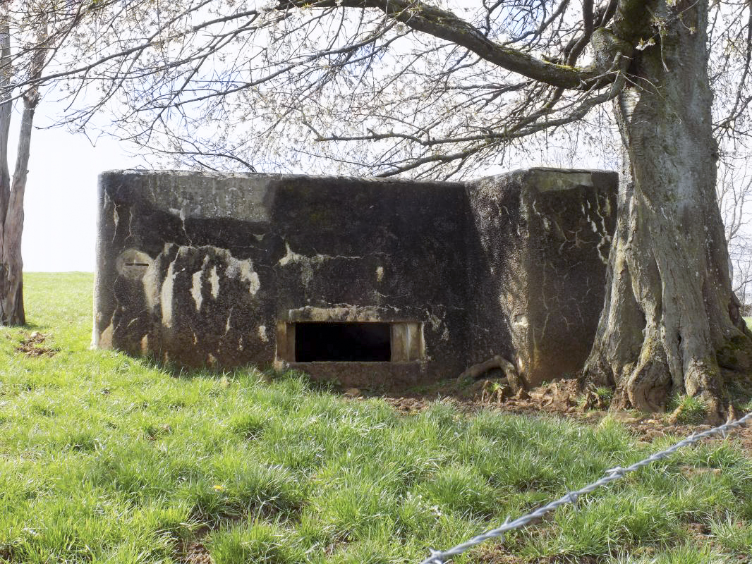 Ligne Maginot - VAUX LèS MOUZON NORD - (Blockhaus pour canon) - Face frontale - R Tucker