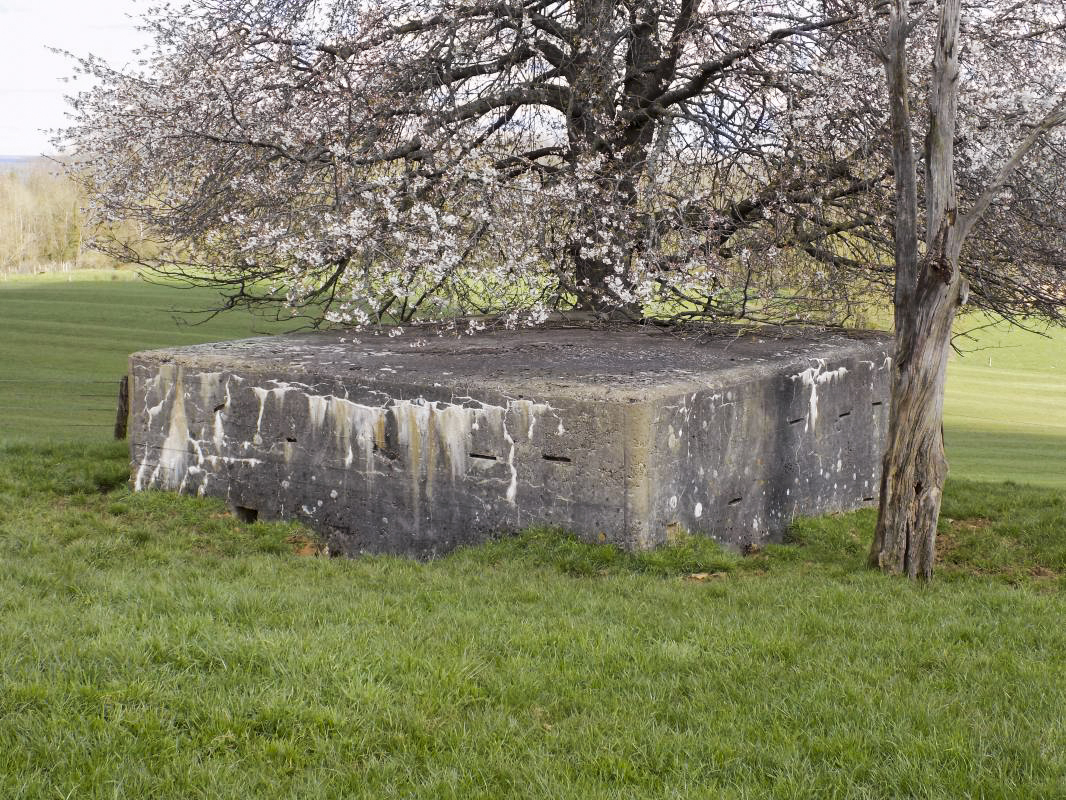 Ligne Maginot - VAUX LèS MOUZON NORD - (Blockhaus pour canon) - L'arrière et face droite - R Tucker