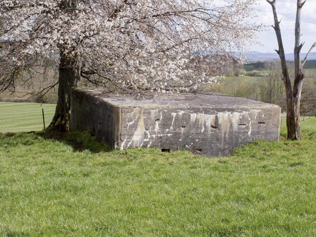 Ligne Maginot - VAUX LèS MOUZON NORD - (Blockhaus pour canon) - Face gauche et l'arrière - R Tucker