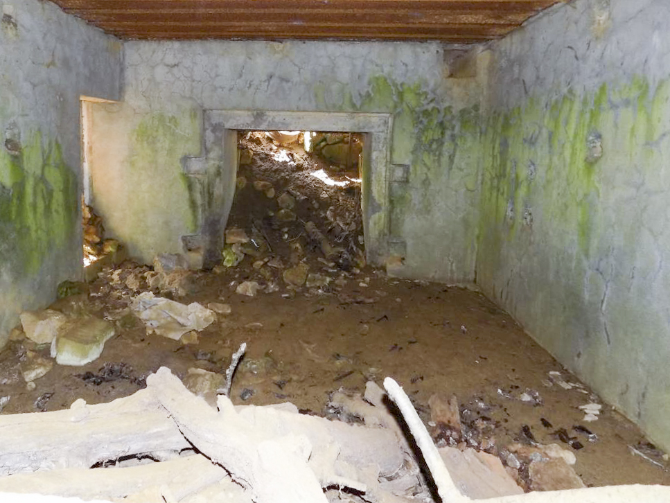 Ligne Maginot - VAUX LèS MOUZON NORD - (Blockhaus pour canon) - Les entrées - R Tucker