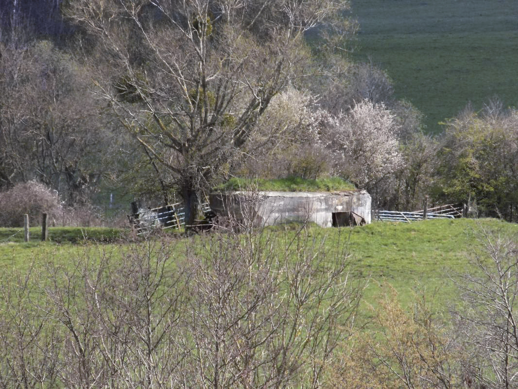 Ligne Maginot - VAUX LèS MOUZON NORD - (Blockhaus pour canon) - Vue vers l'est.
Blockhaus P-Fond-de-Noé-Nord - R Tucker