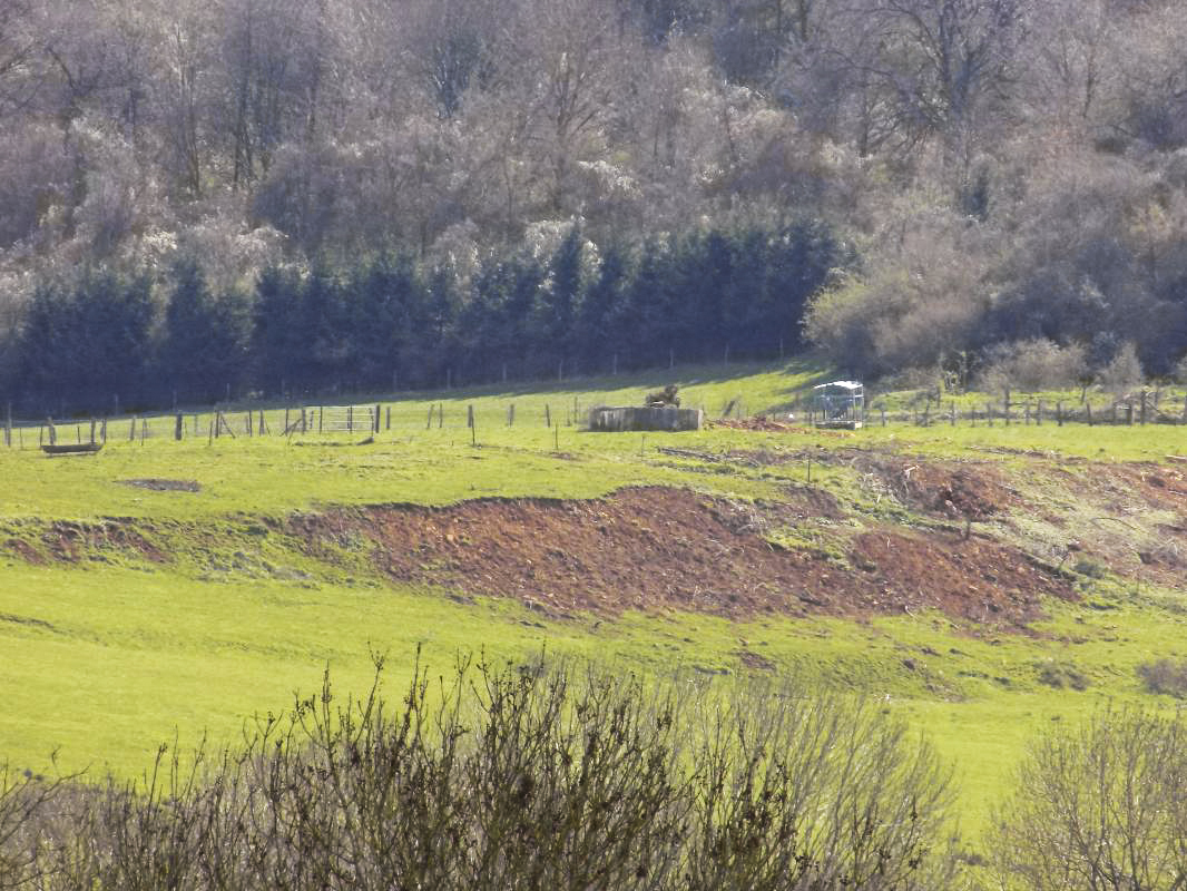 Ligne Maginot - VAUX LèS MOUZON NORD - (Blockhaus pour canon) - Vue vers le sud-est, le blockhaus 10A - R Tucker