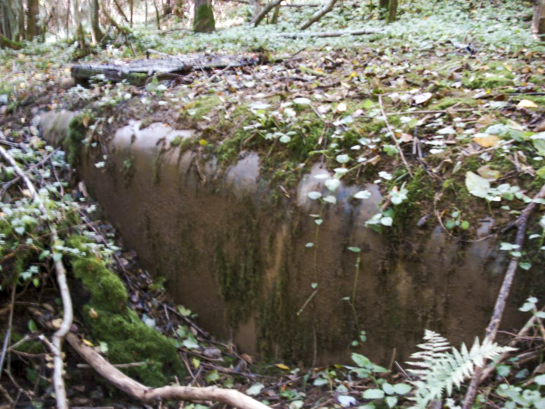 Ligne Maginot - Chambre de coupure 9 -  - R Tucker